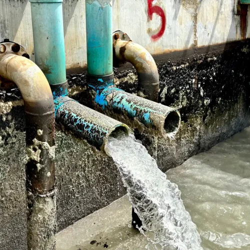 Graywater and Food Waste Discharge Systems