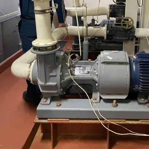 Navy and Marine Pumps 2